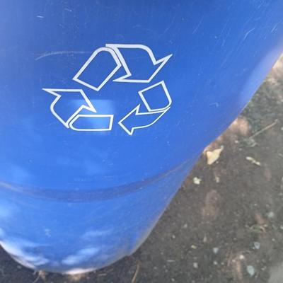 Large rolling back trash can and a blue recycle rolling bin