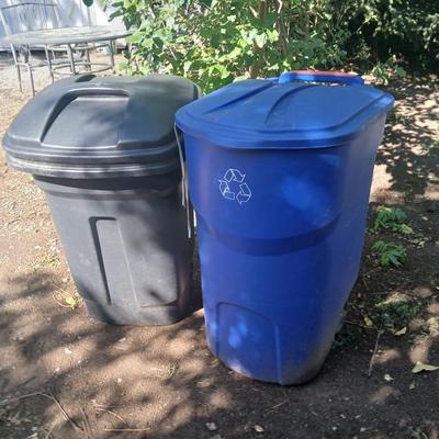 Large rolling back trash can and a blue recycle rolling bin