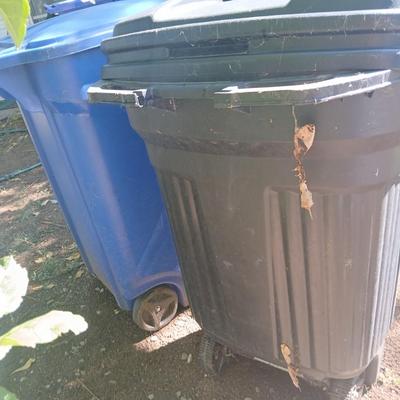 Large rolling back trash can and a blue recycle rolling bin