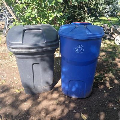 Large rolling back trash can and a blue recycle rolling bin