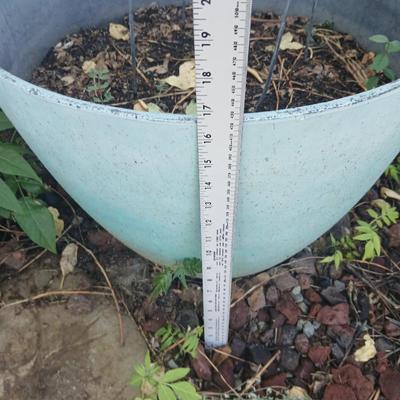 Two large plastic flowerpots - with soil - one contains a Mullen weed plant