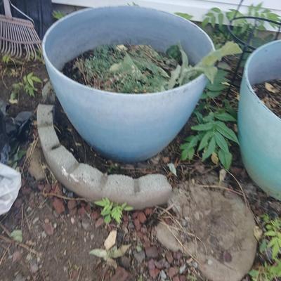 Two large plastic flowerpots - with soil - one contains a Mullen weed plant