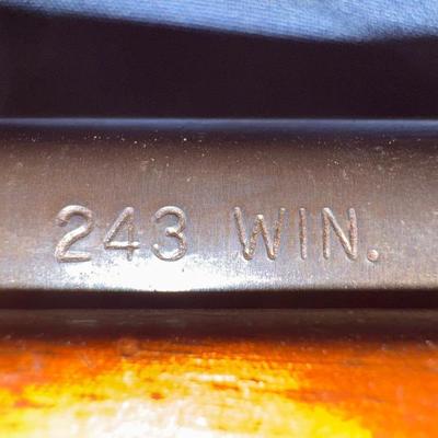 Sale Photo Thumbnail #32: Remington Model 700. 243 WIN with a 21 inch barrel and a Tasco 4x32 scope. This one will need a good cleaning as it is dusty.