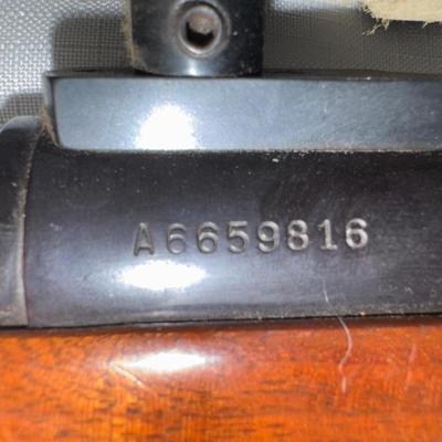 Sale Photo Thumbnail #26: Remington Model 700. 243 WIN with a 21 inch barrel and a Tasco 4x32 scope. This one will need a good cleaning as it is dusty.