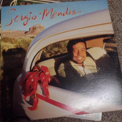Collection of Vinyl Albums- Approx 30 Pieces
