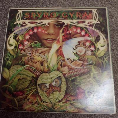 Collection of Vinyl Albums- Approx 30 Pieces