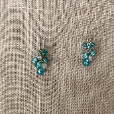 blue beaded silver tone earrings