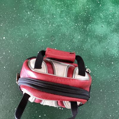 Nintendo DS bowling zip up case Brunswick