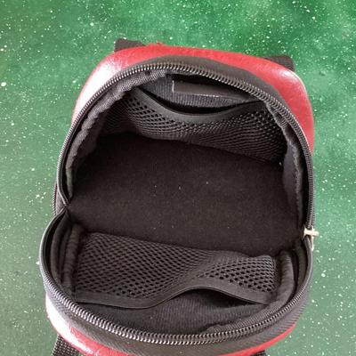 Nintendo DS bowling zip up case Brunswick