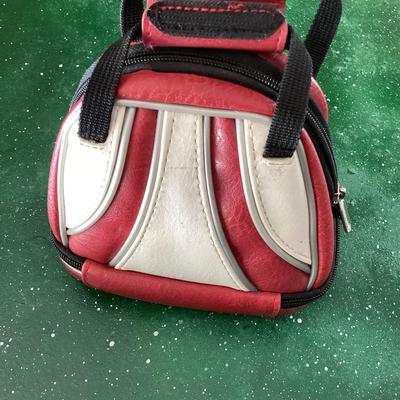 Nintendo DS bowling zip up case Brunswick