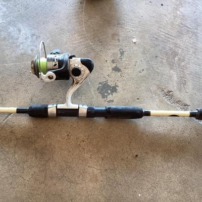 2 fishing poles