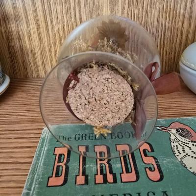 Vintage Bird figurine - barometer - vintage bird book - and more