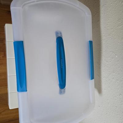 small lidded totes - and a small laundry or storage basket