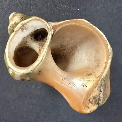 LOT 127: Vintage Alka Kaiser Porcelain Vase w/Embossed Design, Iridescent Shell Art Paperweight & Footed Seashell