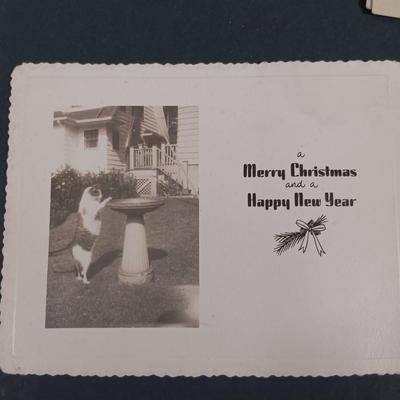 LOT 143: Large Collection of Antique Photographs