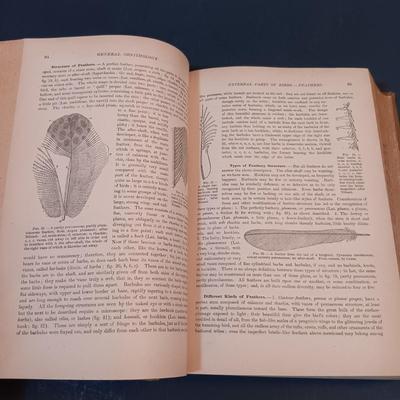 LOT 148: Alpenblumen by Josef Weisz German Flower Guide with Vintage Wildflower Digest and Agricultural Bulletin Pamphlets & More