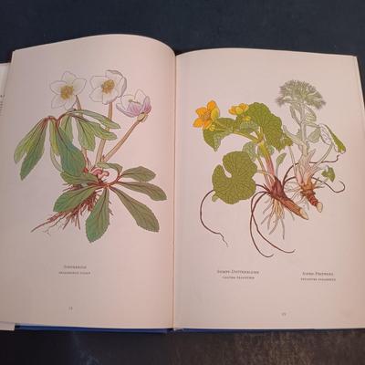 LOT 148: Alpenblumen by Josef Weisz German Flower Guide with Vintage Wildflower Digest and Agricultural Bulletin Pamphlets & More
