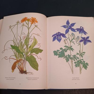 LOT 148: Alpenblumen by Josef Weisz German Flower Guide with Vintage Wildflower Digest and Agricultural Bulletin Pamphlets & More