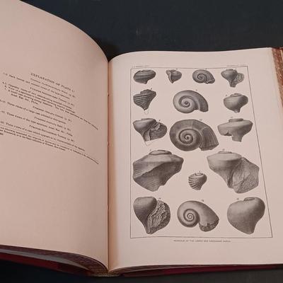 LOT 149: Antique Geological Surveys 1892 and 1894, German Zeitschrift Für Ethnologie Anthropology Text & More