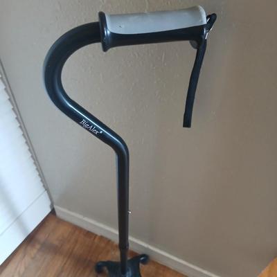 Walgreens shower chair and a Big Alex walking cane