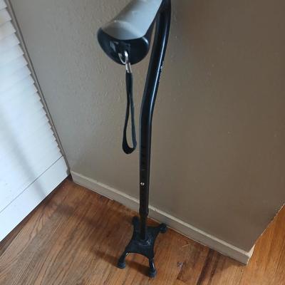 Walgreens shower chair and a Big Alex walking cane