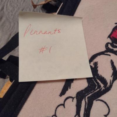 Collection of Pennants (#1)