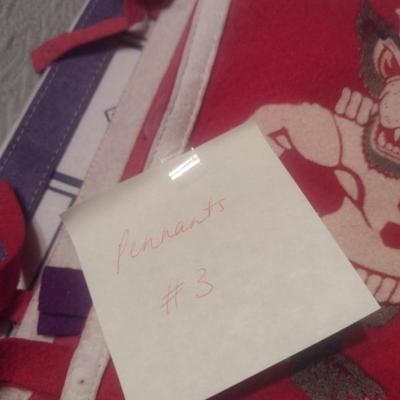 Collection of Sports Pennants (#3)