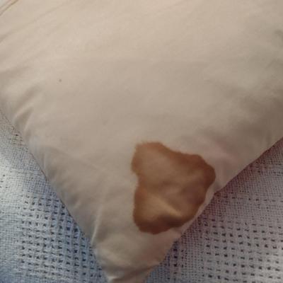 Assorted Throw Pillows