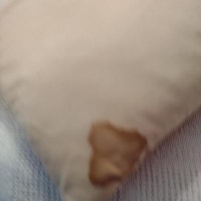 Assorted Throw Pillows