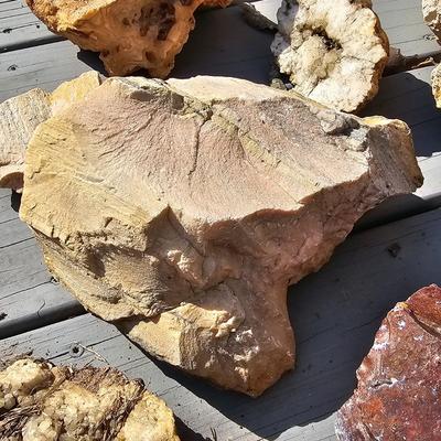 Assortment of Geodes, Petrified Wood & More (BD-JS)