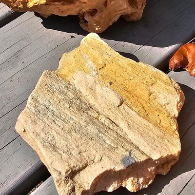 Assortment of Geodes, Petrified Wood & More (BD-JS)