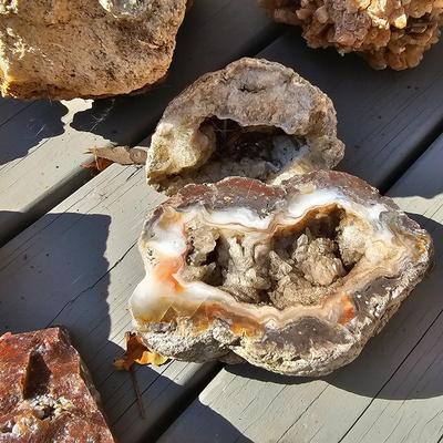 Assortment of Geodes, Petrified Wood & More (BD-JS)