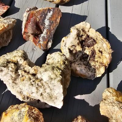 Assortment of Geodes, Petrified Wood & More (BD-JS)