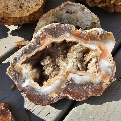 Assortment of Geodes, Petrified Wood & More (BD-JS)