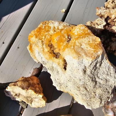 Assortment of Geodes, Petrified Wood & More (BD-JS)