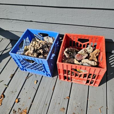 Assortment of Geodes, Petrified Wood & More (BD-JS)
