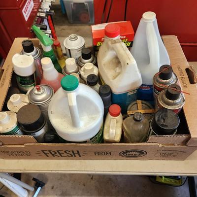 Another Box Lot of Household and Car Care Cleaning products Simple Green WD 40 Zep
