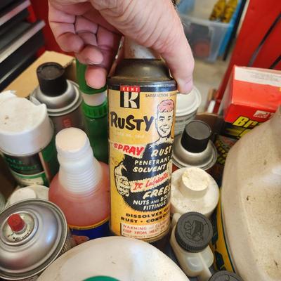 Another Box Lot of Household and Car Care Cleaning products Simple Green WD 40 Zep