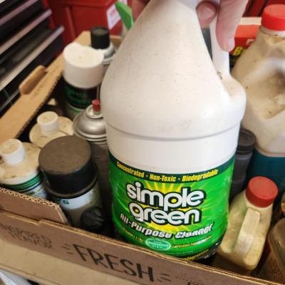 Another Box Lot of Household and Car Care Cleaning products Simple Green WD 40 Zep