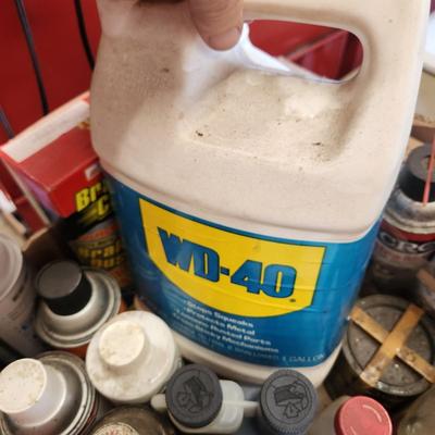 Another Box Lot of Household and Car Care Cleaning products Simple Green WD 40 Zep