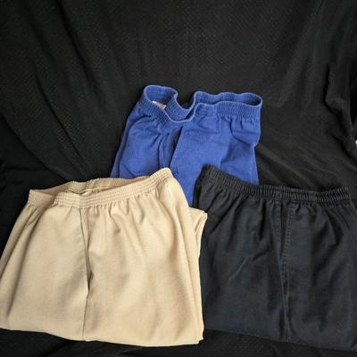 Women's pants and slacks Size 8 - 10 pair!