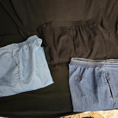 Women's Pants and Slacks over 15 pair!