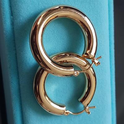 Fashion Earrings
