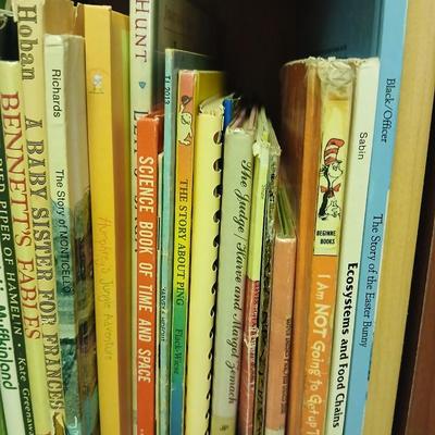 Children's classic story books - Great lot for kids and adults!