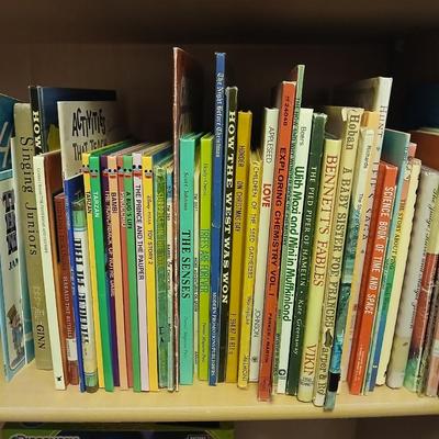Children's classic story books - Great lot for kids and adults!