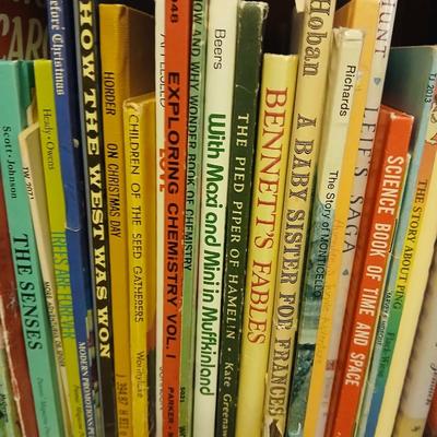 Children's classic story books - Great lot for kids and adults!