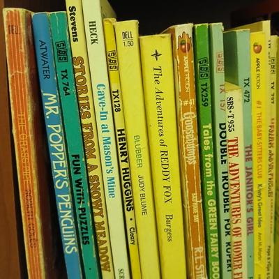 Chapter books for kids -Great books from long ago!
