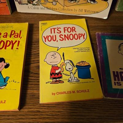 Collection of comic books - Snoopy - Madd - Calvin & Hobbs