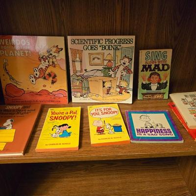 Collection of comic books - Snoopy - Madd - Calvin & Hobbs