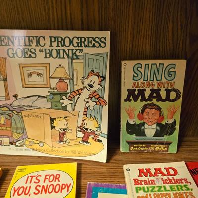 Collection of comic books - Snoopy - Madd - Calvin & Hobbs